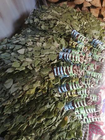 Березовые веники