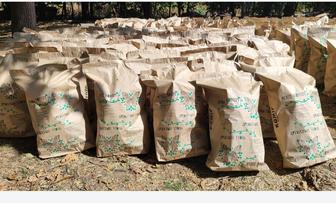 Древесный уголь