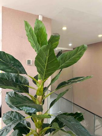 Искусственное растение