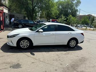 Аренда Hyundai Elantra