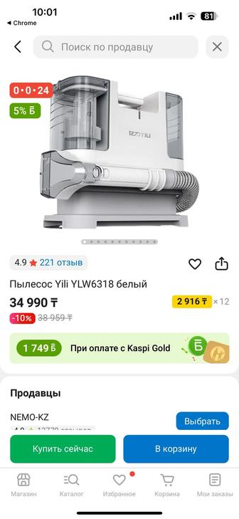 Моющий пылесос химчистка