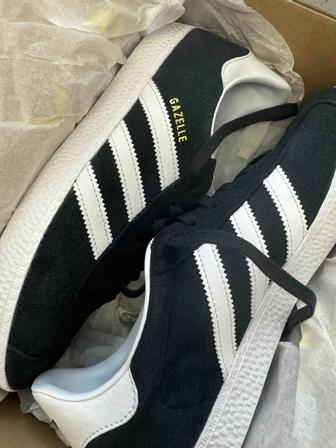 Gazelle adidass