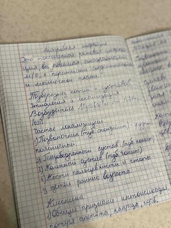 Рефераты/конспекты от руки!