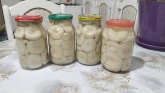 Грибы соленые