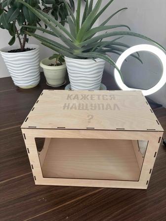 Веселая игра на праздник для детей и взрослых! (Кажется нащупал)