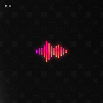 Voice Tag, Войс тег