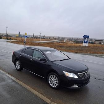 Сдам в аренду с водителем