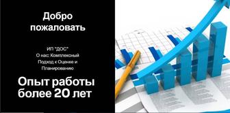 Составление бизнес плана, опыт работы болен 20 лет