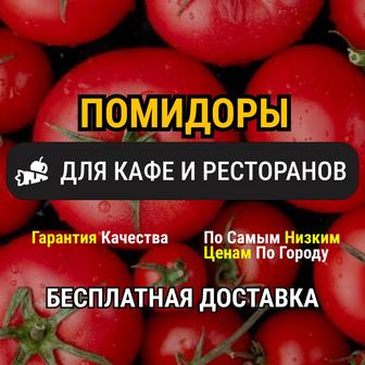 Помидоры оптом Казахстан Свежие томаты оптом Поставка в кафе и ресторан