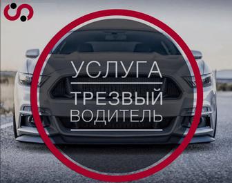 трезвый водитель