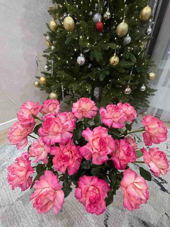 Букет цветов