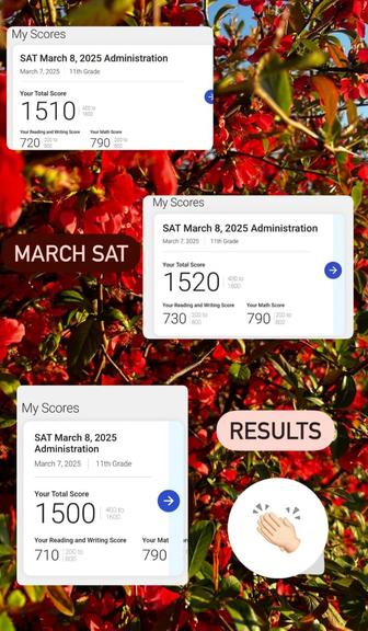 Подготовка к SAT, IELTS, TOEFL