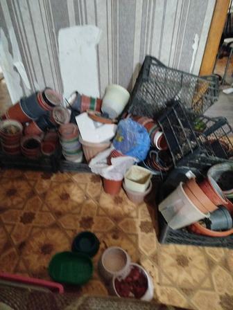 Горшки для комнатных растений