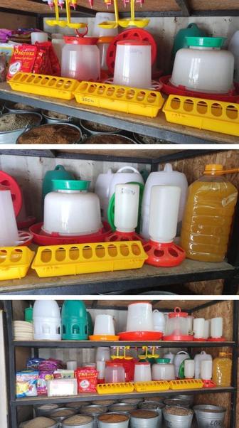 В наличии широкий ассортимент кормов и инвентаря для птиц и животных