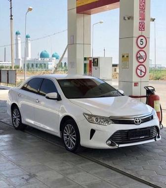 Трезвый водитель