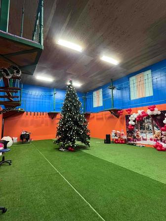 Аренда Ёлки 4,5 м