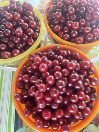 Вишня дачная, спелая, крупная! 5л. Ведро