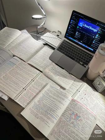 Курсовая работа