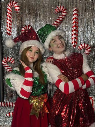 Новогодняя программа аниматоров