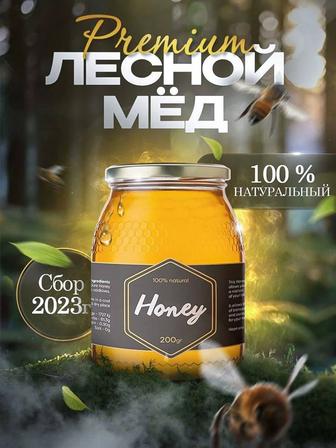 Инфографика