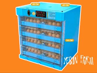 Инкубаторы для вывода птиц для начинающих фермеров