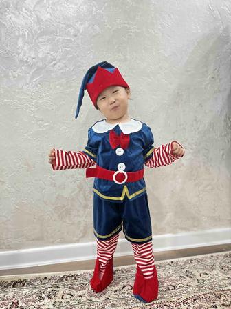 Прокат Гном