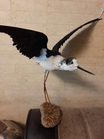 Муляж статуэтка кулик.