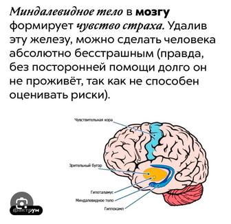 Психолог, психосаматолог, психоанализ, консультация психотерапия казакша ор