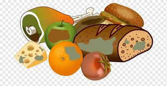 Пищевые отходы вывозим платно с кафе и ресторанов Алматы 24/7