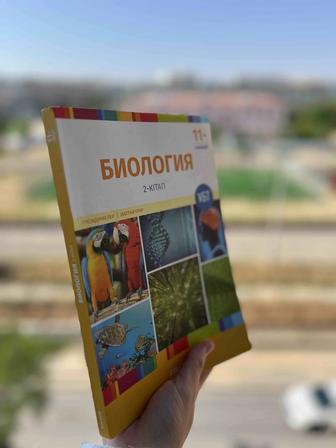 Книга