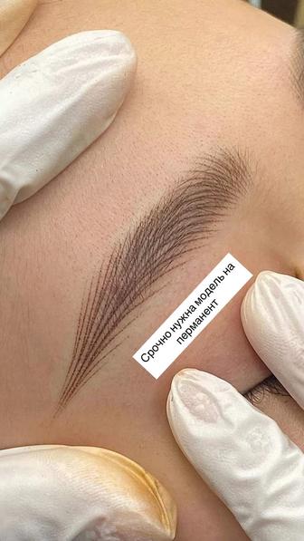 Перманент бровей