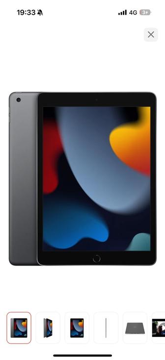 iPad