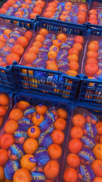 Турецкие мандарины оптом