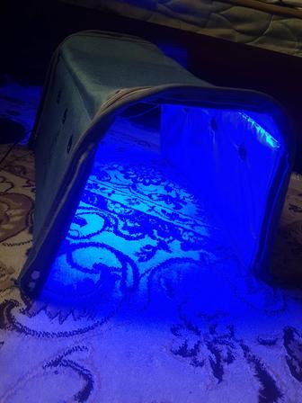 Аренда фотолампы от желтухи