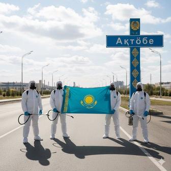 Дезинфекция Актобеде