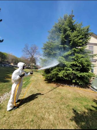 Услуги по уходу за садом и хвойными!