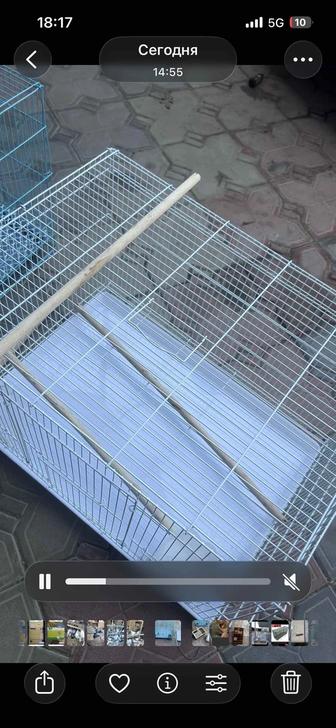 Клетка для птиц