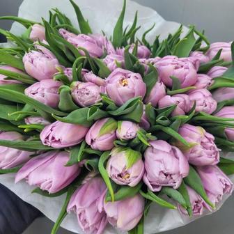 Тюльпаны оптом алматы