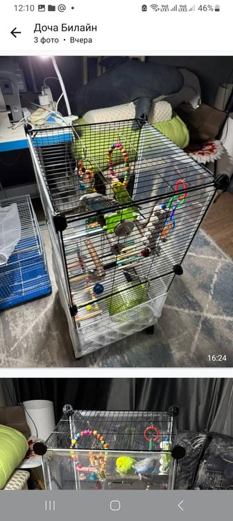 Продам клетку для попугаев