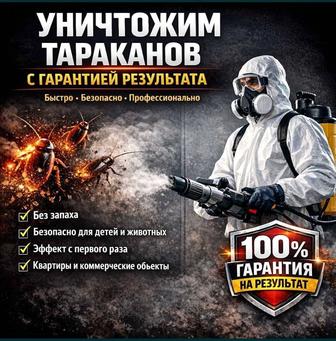 Дезинфекция