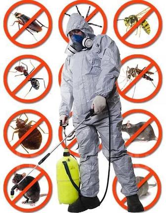 Дезинфекция.Уничтожение насекомых грызунов и вирусов С гарантией