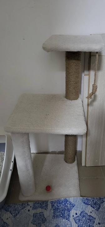 Когтеточка и сумка для прогулки для кошек и маленьких собак