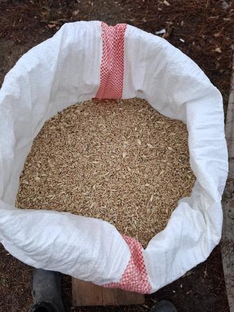 Зерноотходы с бесплатной доставкой