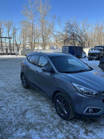 Встреча, пассажирские перевозки