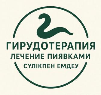 Лечение пиявками