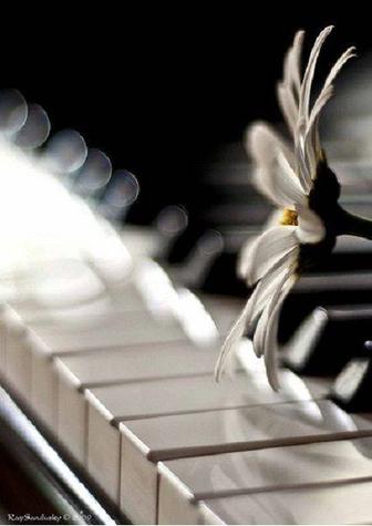 Индивидуальные уроки фортепиано легко, с душой и результатом!