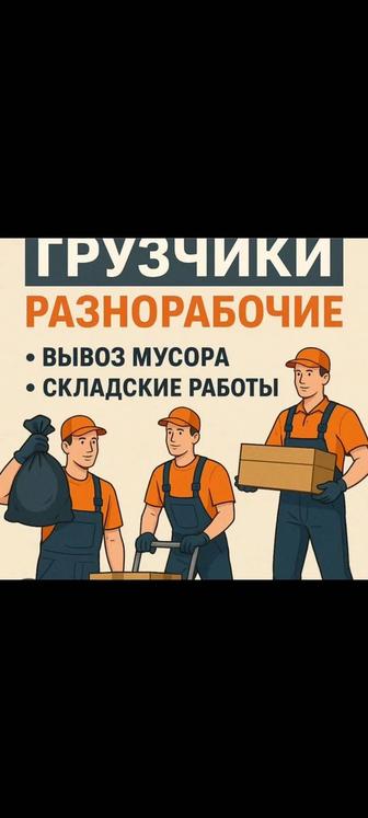 Опытные Грузчики