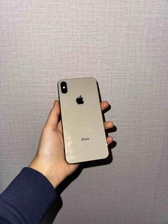 IPhone XS MAX (256 GB)