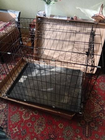 Клетка для домашней собаки.