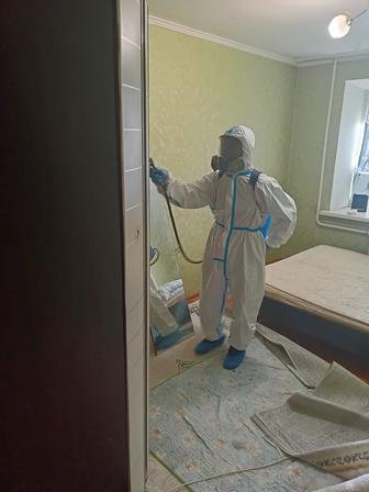 Дезинфекция качественно!